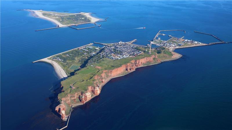 In der Nordsee um Helgoland sollen sich laut Experten vor allem erwachsene Hundshaie tummeln. (Archivbild)