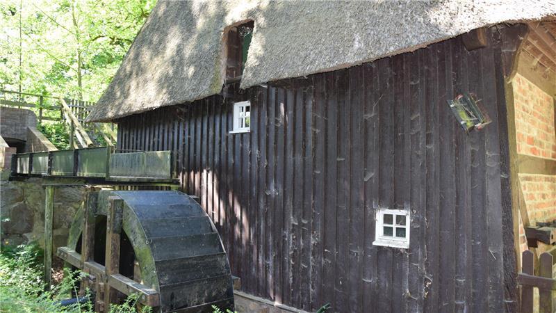 Der Bund fürs Leben: Hier können Paare sich im Kreis Stade trauen lassen In der Ovelgönner Wassermühle gehen Brautpaare inmitten der historischen Ausstattung den Bund fürs Leben ein.