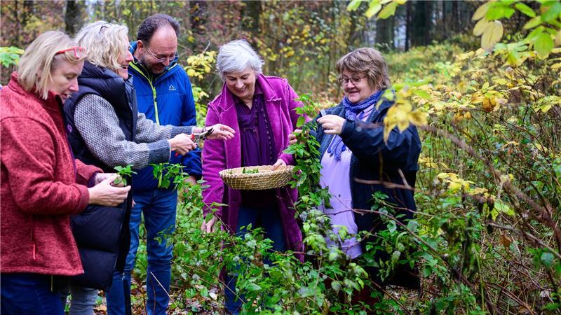 In der Waldkräuterey in Amelinghausen gibt Marion Putensen ihr Wissen über heimische Kräuter in Lehrgängen weiter und bildet aus. 