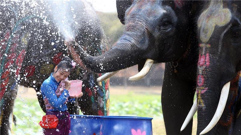 Thailands wildes Wasserfest startet mit Hitzealarm In der ehemaligen Hauptstadt Ayutthaya spritzen auch Elefanten munter mit.