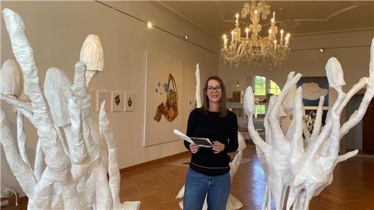 In der neuen Ausstellung „Habitat“ bringt Kuratorin Claudia Rasztar vier künstlerische Positionen zusammen, die das Verhältnis von Mensch, Natur und Technik beleuchten.