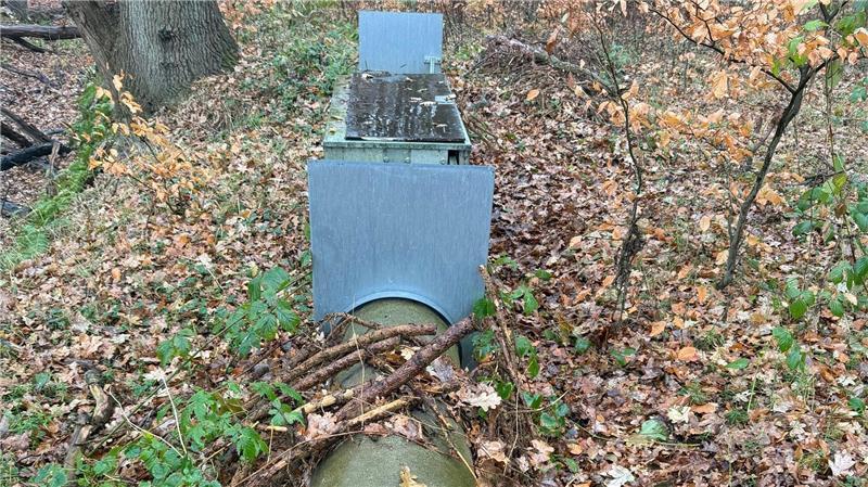 In der Falle erschossen? Die letzten Stunden des Katers Teddy In diese Lebendfalle geriet Teddy wohl in den frühen Morgenstunden.