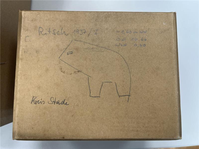 Archäologen sind der mächtigen Sachsen-Fürstin von Assel auf der Spur In diesem Karton schlummerten die wenigen erhaltenen Funde der Grabung von 1937.