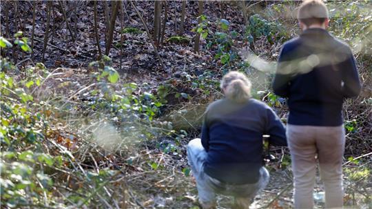 In diesem Waldstück in Duisburg wurde die Leiche einer Frau gefunden.