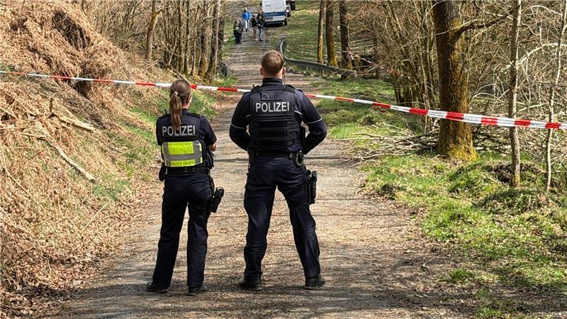 In diesem Waldstück wurde der Kopf der getöteten Frau gefunden. (Archivbild)