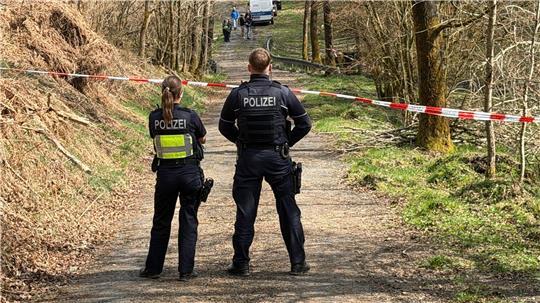 In diesem Waldstück wurde der Kopf der getöteten Frau gefunden. (Archivbild)