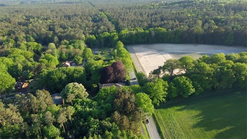 In diesem Waldstück bei Stelle ist die Leiche gefunden worden. Foto: Sebastian Peters/NonstopNews/dpa