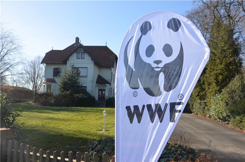 In dieser alten Villa hat der WWF in Drochtersen sein Büro. Foto: von Allwörden