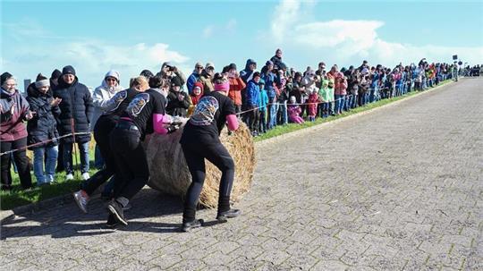 In drei Kategorien (Männer-, Frauen- und Mixteams) wird jeweils ein „Strohballen-Rollmeister“ gesucht. (Archivbild)