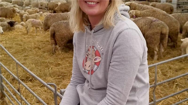 In drei Nächten hatte der Goldschakal 80 Tiere aus der Herde von Schäferin Daniela Andersen getötet. 