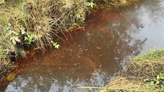 In einem Abwassergraben in Buxtehude hat sich das Wasser plötzlich rot verfärbt.