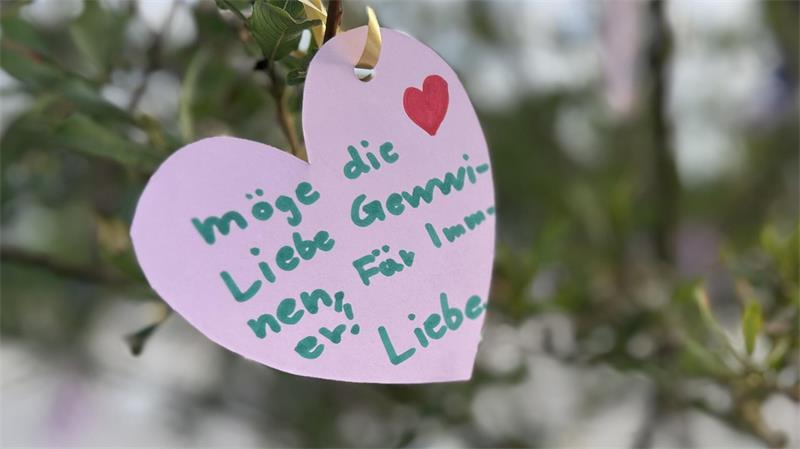 In einem Baum der Trauer hängten Menschen Herzen mit Botschaften auf.