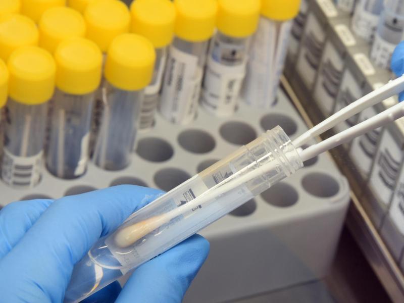 In einem Labor werden PCR-Tests analysiert. Foto: Waltraud Grubitzsch/dpa
