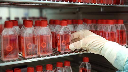 In einer Gewebebank zeigt eine Mitarbeiterin den Brutschrank mit präparierter menschlicher Hornhaut.