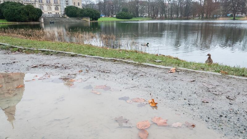 Schützen marschieren im Regen durch Hannover In einer Pfütze spiegelt sich ein Teil des Rathauses Hannover wider.