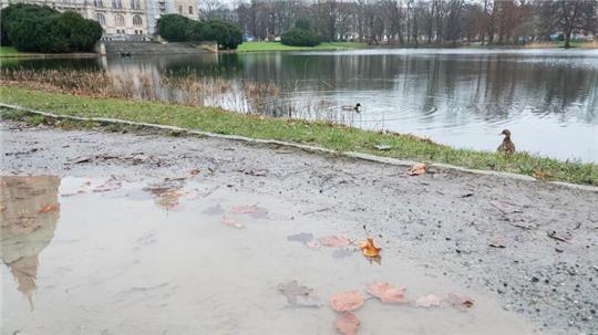 In einer Pfütze spiegelt sich ein Teil des Rathauses Hannover wider.