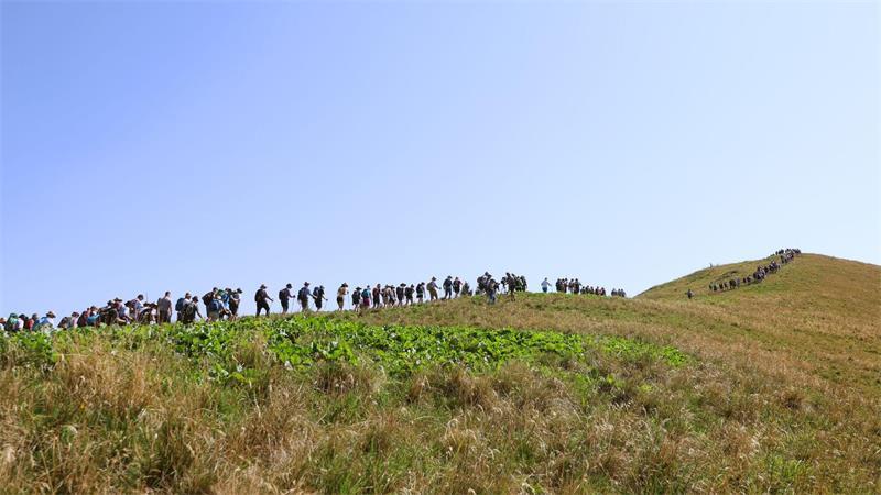 In einer Reihe: Teilnehmer der Hauptalmbegehung des Almwirtschaftlichen Vereins Oberbayern wandern auf dem Schönberg.