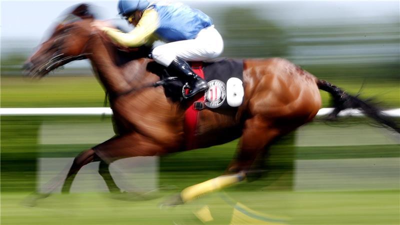 In einer Suppenküche findet ein Gast in seinem Essen den Mikrochip eines ehemaligen Rennpferdes. (Symbolfoto)