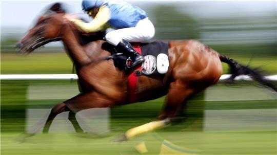 In einer Suppenküche findet ein Gast in seinem Essen den Mikrochip eines ehemaligen Rennpferdes. (Symbolfoto)
