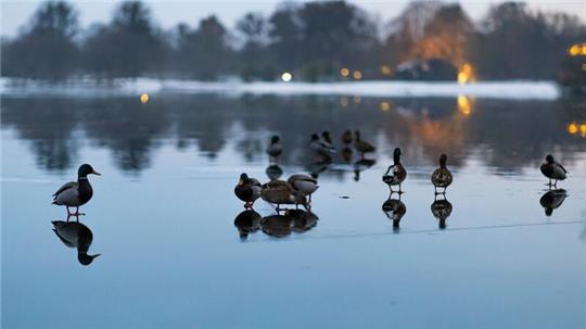 In einigen Gewässern können die Wasserstände infolge der schmelzenden Schneemassen in den kommenden Tagen etwas ansteigen.