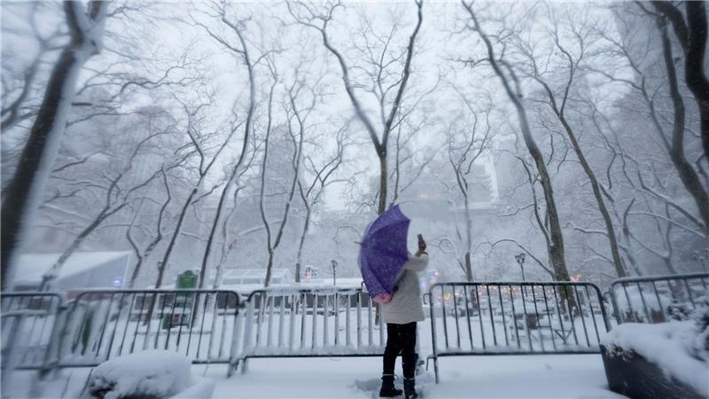 In einigen Parks der Stadt entstanden ganze Armadas von Schneefiguren.