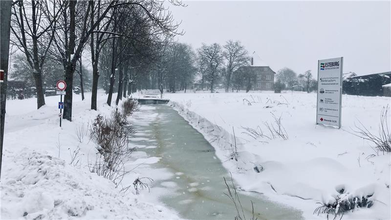 In gefrorenen Gewässern wie hier an der Esteburg in Moorende lässt es sich nicht so gut jagen - Reiher und Kormorane suchen sich dann andere Fischgründe, zum Beispiel an der Obereste.
