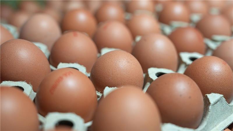 In manchen Lebensmittelläden sind sie gerade Mangelware: Eier. (Symbolbild)