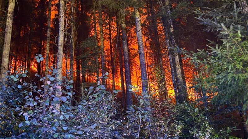 In mehreren Regionen kämpfen Feuerwehrleute gegen Flammen. 