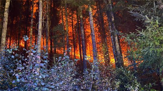 In mehreren Regionen kämpfen Feuerwehrleute gegen Flammen. 