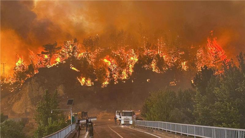 Waldbrände in der Türkei - auch Urlaubsregion betroffen In mehreren türkischen Provinzen brennen derzeit Wälder.