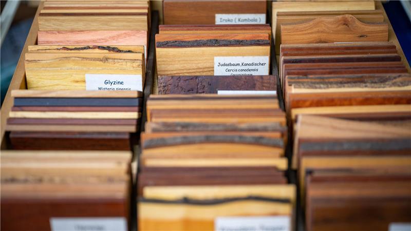 In seiner "Bibliothek der Hölzer" hat der Rentner mit seiner Passion für die Natur eine Kartei aus Proben-Täfelchen angelegt: Holzarten aus aller Welt kann er hier auf Anhieb identifizieren. Foto: Lothar Scheschonka