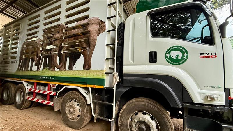 Die Elefantenflüsterin von Chiang Mai In solchen Trucks werden die Elefanten nach ihrer Rettung in den Elephant Nature Park gefahren.