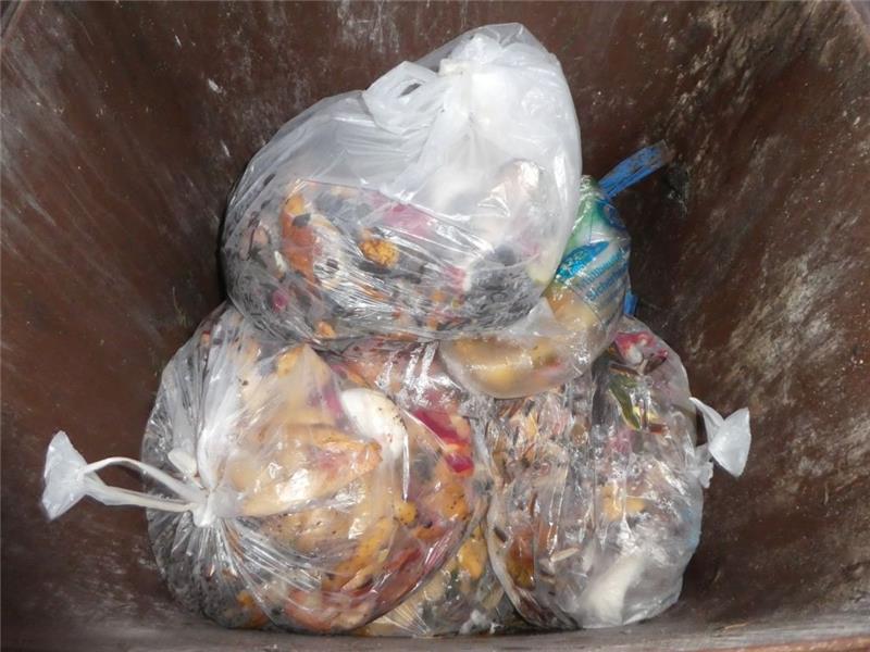 Kreis klagt über falsch befüllte Biomüll-Tonnen – Hohe Quote im Alten Land In vielen Biomülltonnen in der Gemeinde Jork befanden sich auch Plastiktüten im Abfall, die dort nicht hineingehören. Foto: Landkreis Stade