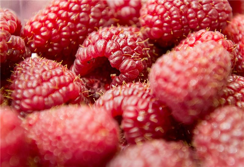 Wegen Medikamentenmangel: Taugen Himbeeren als Schmerzmittel? In Himbeeren steckt Salicylsäure - ein Stoff, der Schmerzen lindern kann. Foto: Andrea Warnecke/dpa-tmn