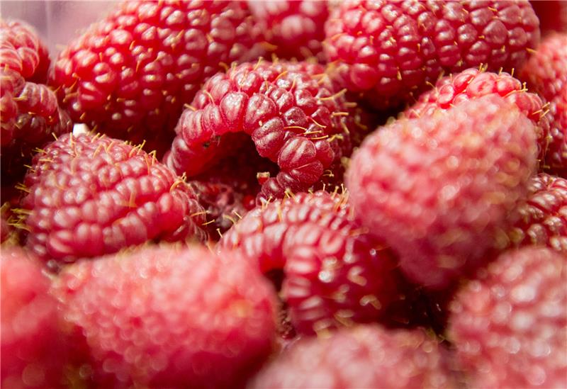 In Himbeeren steckt Salicylsäure - ein Stoff, der Schmerzen lindern kann. Foto: Andrea Warnecke/dpa-tmn