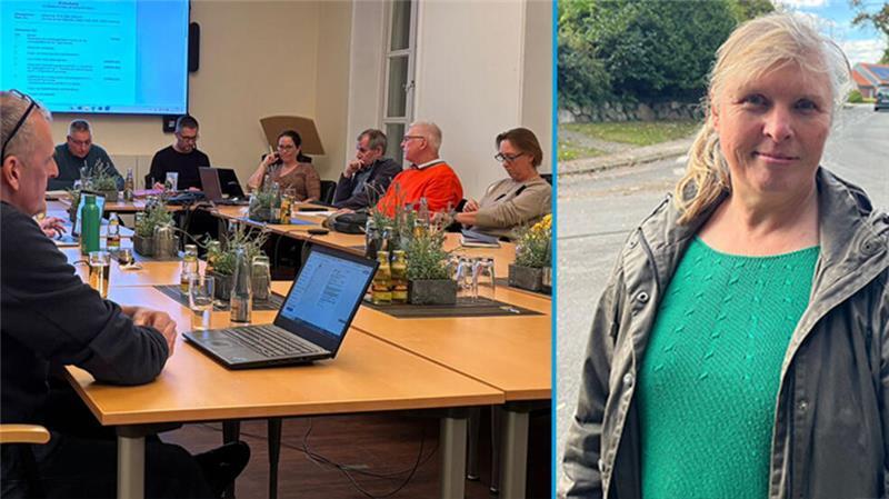 Frauenschwund: Dollerner Grünen-Politikerin wirft das Handtuch Ina Ecks (Grüne) hat im neuen Jahr den Dollerner Rat verlassen.