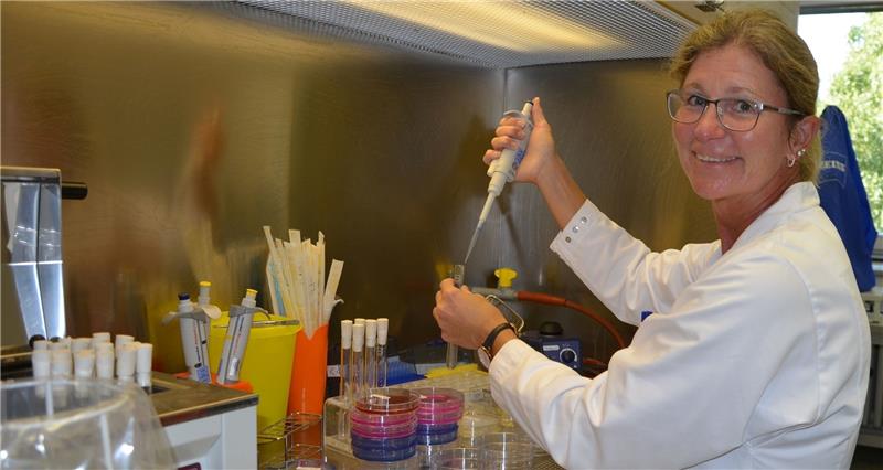 Stader Futtermittelinstitut schützt Mensch und Tier Ina Helberg arbeitet im mikrobiologischen Labor, in dem Futtermittel auf ihren hygienischen Zustand überprüft werden. Fotos von Allwörden