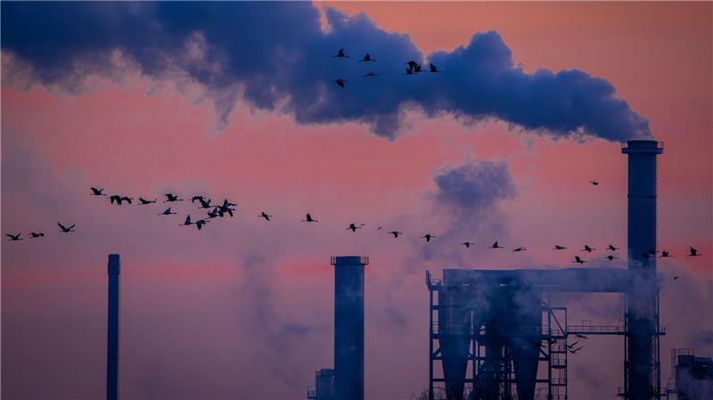 Industriebetriebe in Norddeutschland versuchen, ihre Abhängigkeit von den USA zu verringern. (Archivbild)