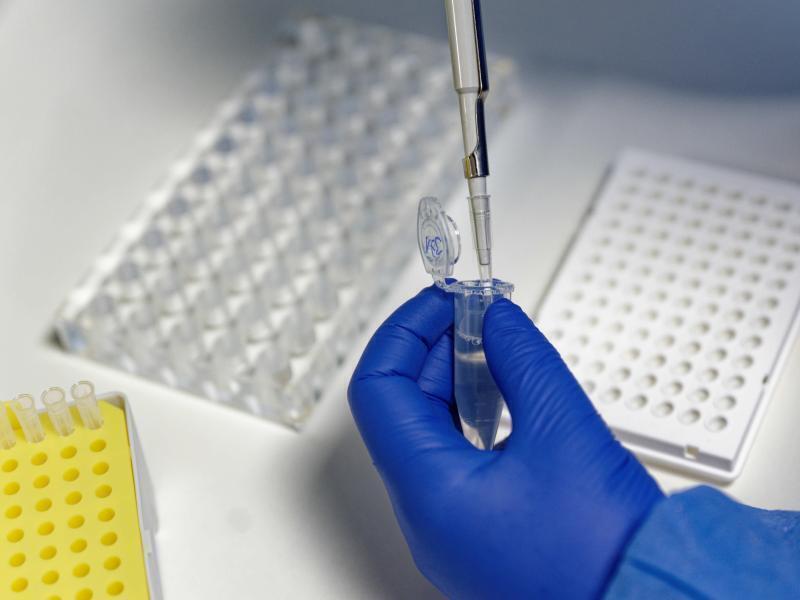 Innerhalb eines Tages hat der Landkreis Stade 544 weitere positive Corona-Tests registriert. Foto: Henning Kaiser/dpa