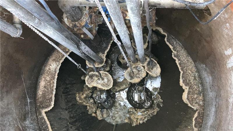 Innerhalb weniger Wochen können sich Fette in den Pumpwerken verklumpen und hinderliche Krusten bilden.