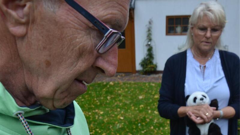 Insbesondere Birkenblätter und die Samen der Hainbuchen (Foto) machen Friedhelm und Magrit Grube zu schaffen und erfordern in diesen Wochen in kurzen Abständen die Reinigung der Dachrinnen.