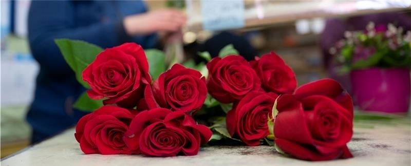 So verschenken Sie zum Valentinstag giftfreie Blumengrüße Insbesondere Rosen, die in Deutschland im Winter angeboten werden, sind oft mit Pestiziden belastet. Foto: Thissen/dpa