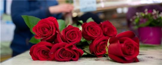 Insbesondere Rosen, die in Deutschland im Winter angeboten werden, sind oft mit Pestiziden belastet. Foto: Thissen/dpa