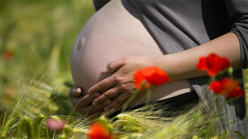 Paracetamol in Schwangerschaft? Mögliche Folgen für Töchter Insbesondere bei längerer Einnahme wird Frauen ärztlicher Rat empfohlen.