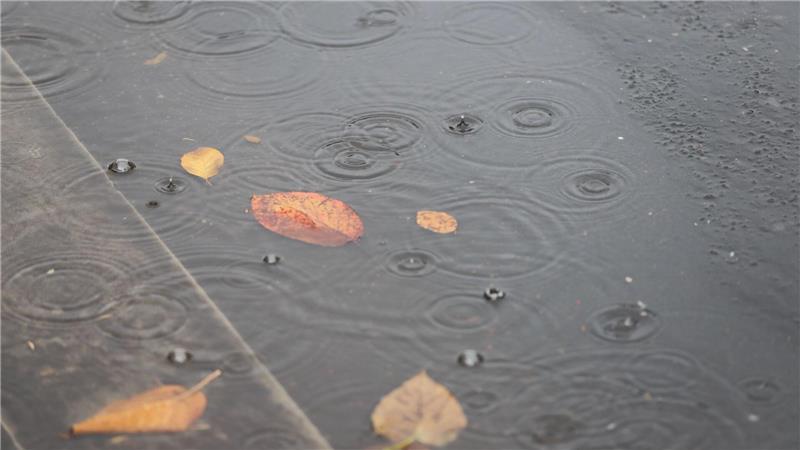 Insbesondere im Norden kam viel Regen herunter. (Archivbild)