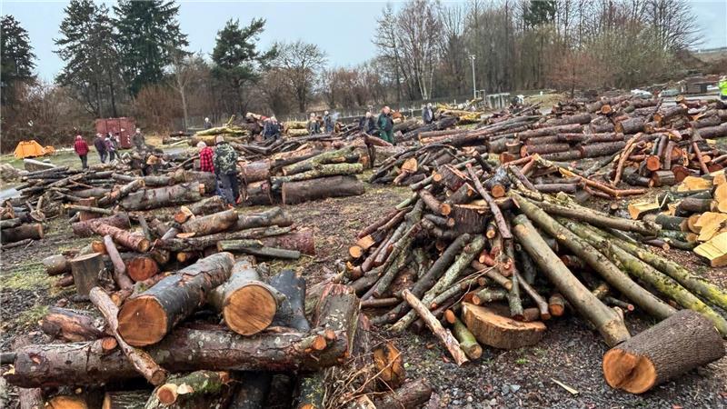 Insgesamt 53 Haufen mit Brennholz, Lose genannt, sind zu der Versteigerung auf dem Gelände der Städtischen Betriebe Buxtehude am Melkerstieg aufgetürmt.