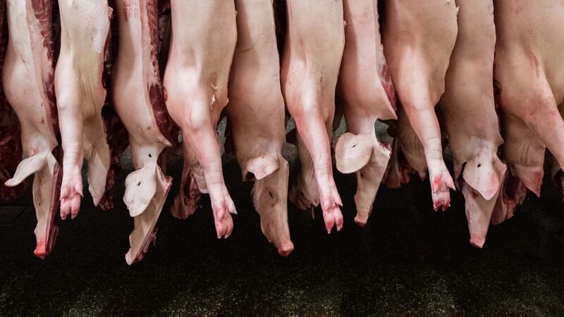 Fleischproduktion sinkt weiter Insgesamt produzierten Schlachtunternehmen 2023 rund 4,2 Millionen Tonnen Schweinefleisch - deutlich weniger als noch 2022.
