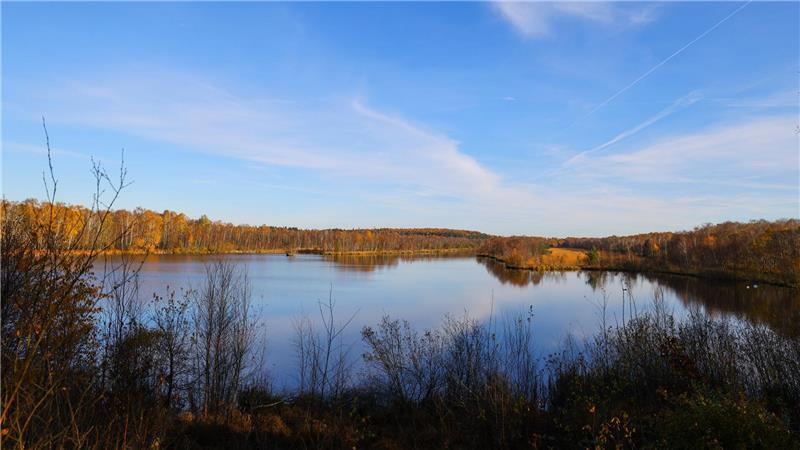 Schleswig-Holstein weist neue Naturschutzgebiete aus Insgesamt werden 1.000 Hektar neue Naturschutzgebiete ausgewiesen - darunter auch das Hasenmoor.