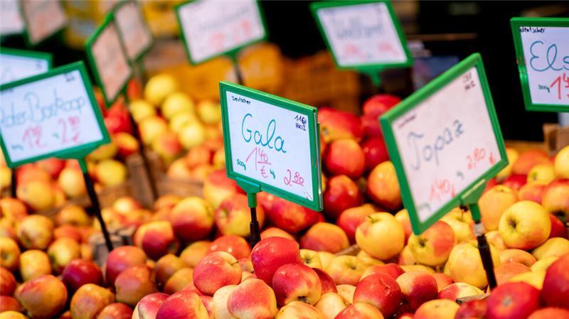 Insgesamt wurden deutschlandweit 872.000 Tonnen an Äpfeln geerntet.