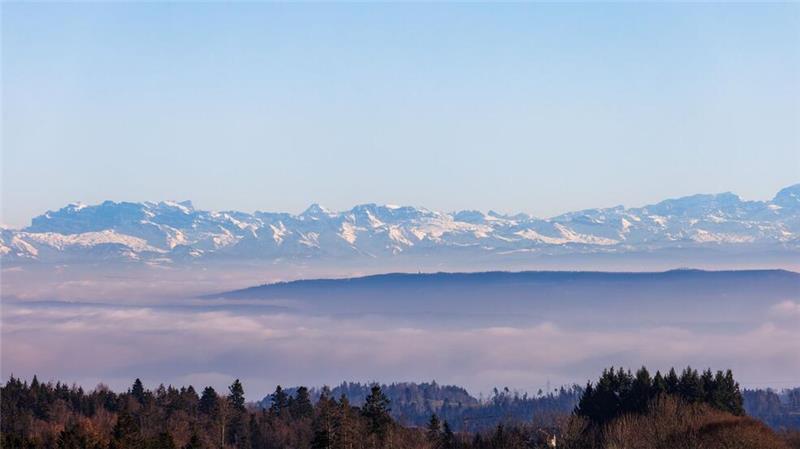 Inversionswetterlage im Schwarzwald. 
